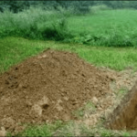 Woman buries 1-day-old baby alive after domestic fight