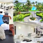 3 businesses you can start with less than Shs100000 in Uganda 