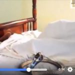 Deacon caught pants down with student